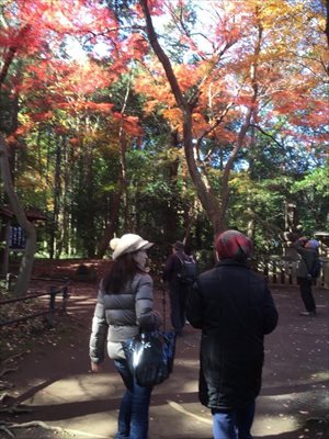 blog