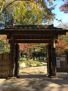 blog