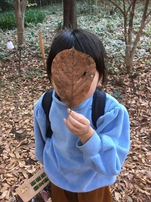 blog
