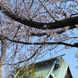 blog